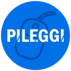 LogoPILEGGI forniture