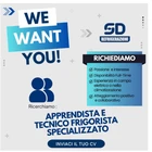 Logo dell''azienda  SD Refrigerazioni