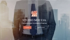 Logo dell''azienda  Andrea moccia - consulente del lavoro consulente / lavoratore autonomo / libero professionista