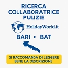 LogoAgente partner