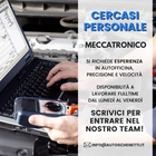 Annunci di Lavoro SCHENETTI ELEUTERIO & C. SNC