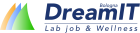 LogoDreamit srls