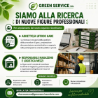 LogoGREEN SERVICE SRL