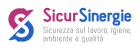 LogoSICUR SINERGIE S.R.L.
